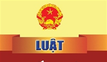 Luật Thống kê